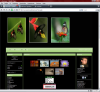Klik for at vise butterfly2_t1.png