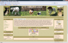 Klik for at vise canine_t2_t1.png