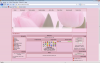 Klik for at vise pink_tulips_t1.png