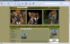 Klik for at vise wildlife_t2_t1.png